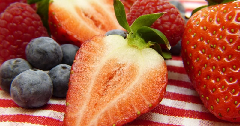 10 aliments pour renforcer votre système immunitaire naturellement